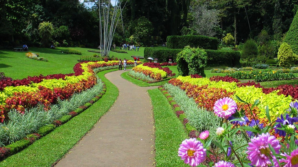 Peradeniya Royal Botanical Gardens Kandy